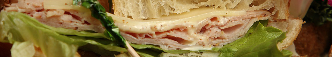 Eating Deli Sandwich at Stockton Food Store restaurant in Stockton, NJ.